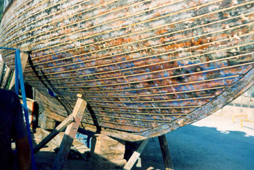 new wooden caulk strips of soft wood